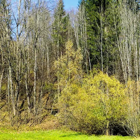 Ferienwohnung-annaberg * Annaberg im Lammertal